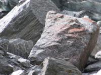 Albums/20060200-New Zealand 2006/20060208-Fox_and_FJ_Glaciers/35